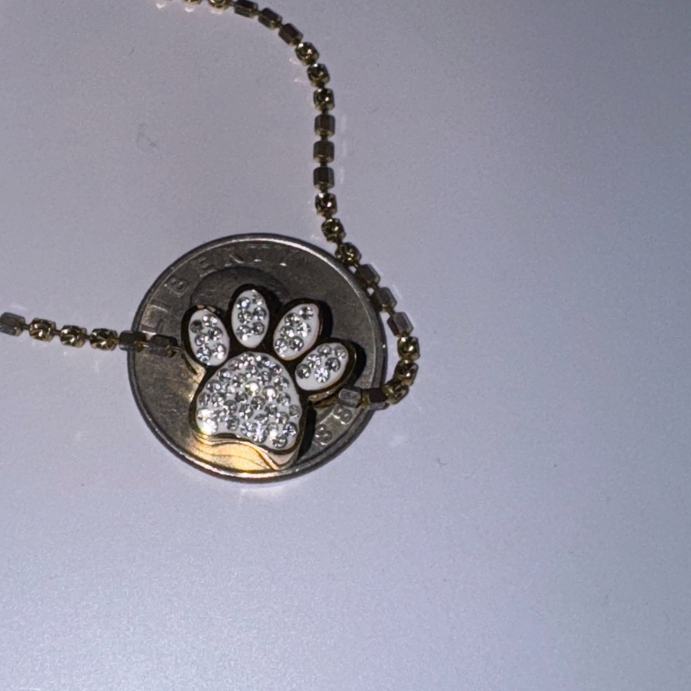 14k Yellow Gold Vermeil Paw Urn Pendant, Keepsake Urn for pets, Pet Ash Holder - Picture 3 of 7